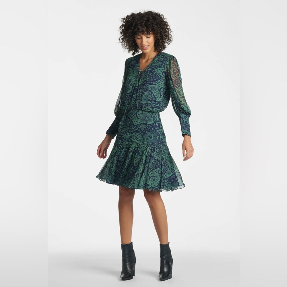 Sachin & Babi Samarah Chiffon Balloon Sleeve Floral Paisley Dress Size 10